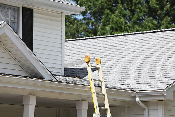 Best Property Management Cleanouts  in The Pinehills, MA